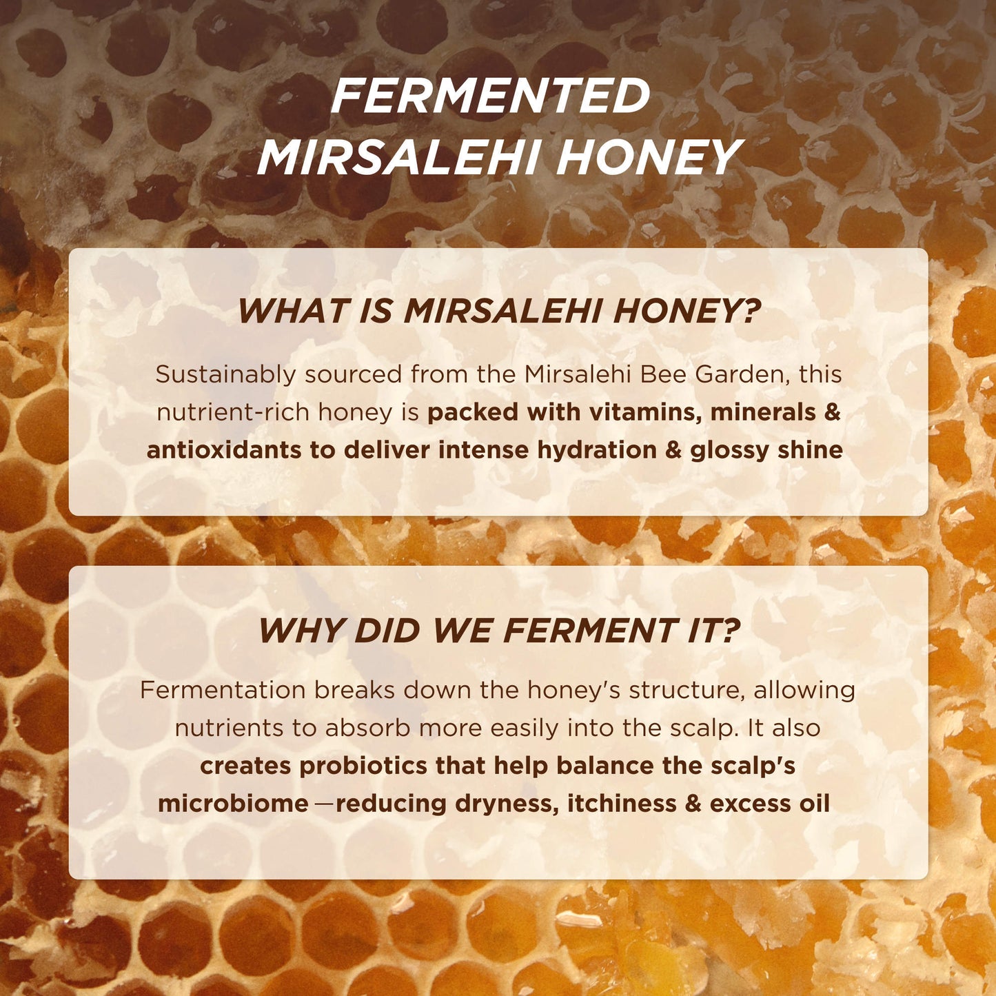 Gisou – Honey Gloss Ceramide Therapy Hydrating Shampoo