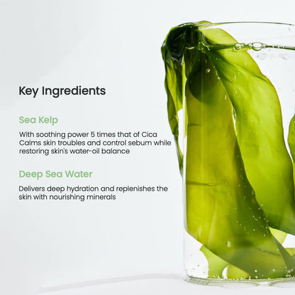 Biodance – Refreshing Sea Kelp Real Deep Mask