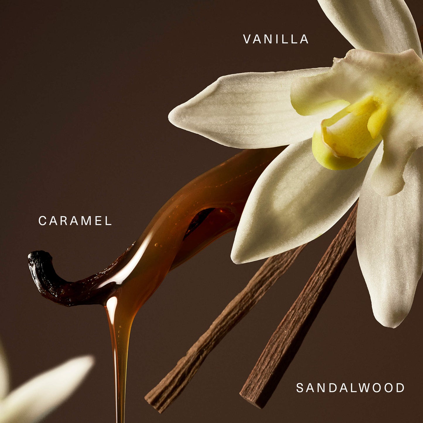 Rare – Eau de Parfum