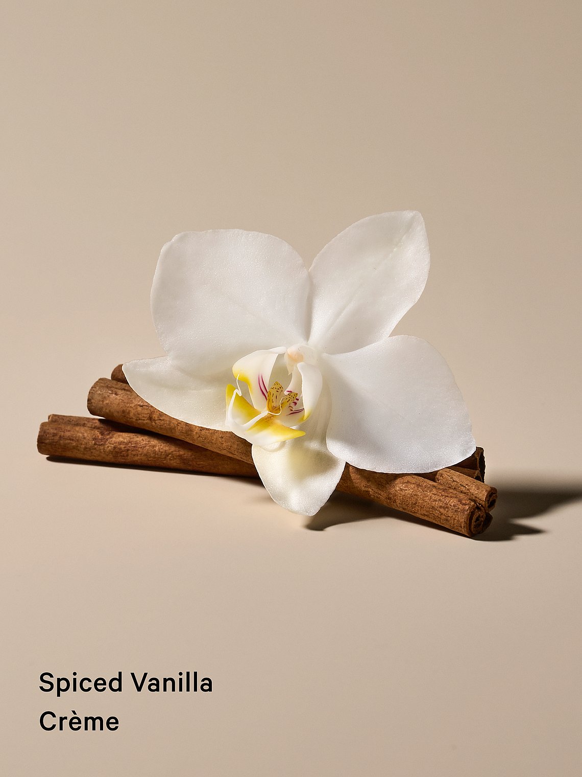 Spiced Vanilla Crème Hair & Body Mist