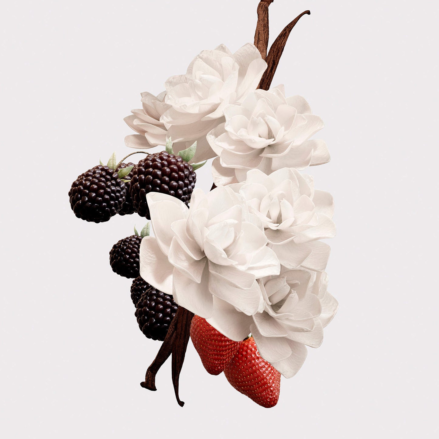 Burberry – Her Elixir Eau de Parfum