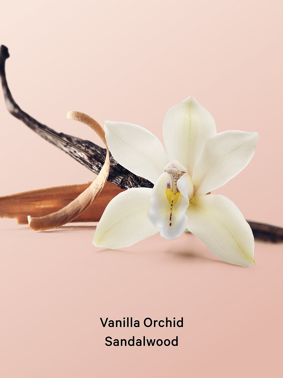 Vanilla Orchid & Sandalwood Fine Fragrance Mist