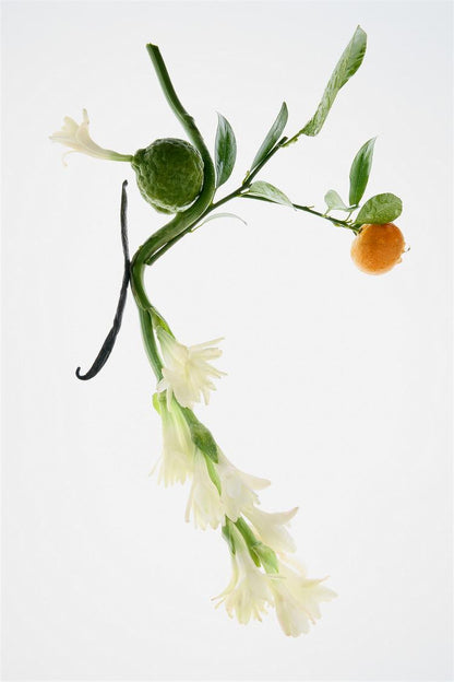 ZARA - SUBLIME EPOQUE EDP 30Ml