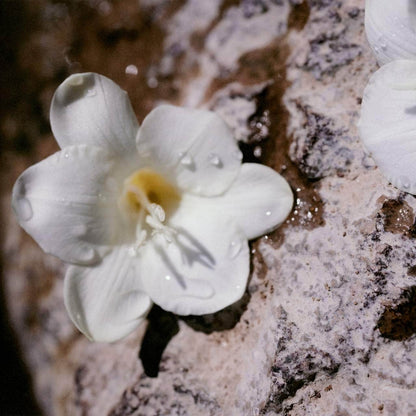 Chloé – Nomade Eau de Parfum