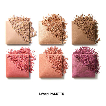 Ambient Lighting Edit Unlocked – Custom Palette Swan – Palette teint personnalisable